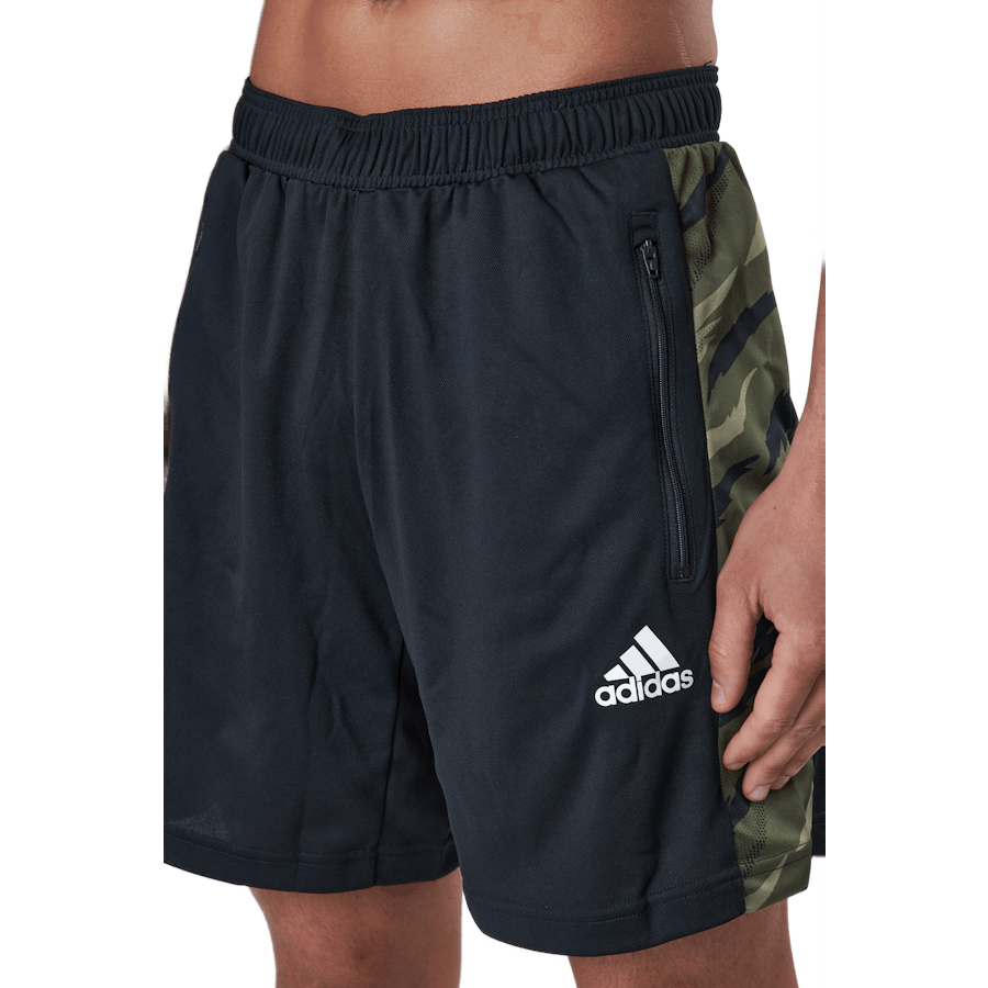 Feelstrcamo Sho Black