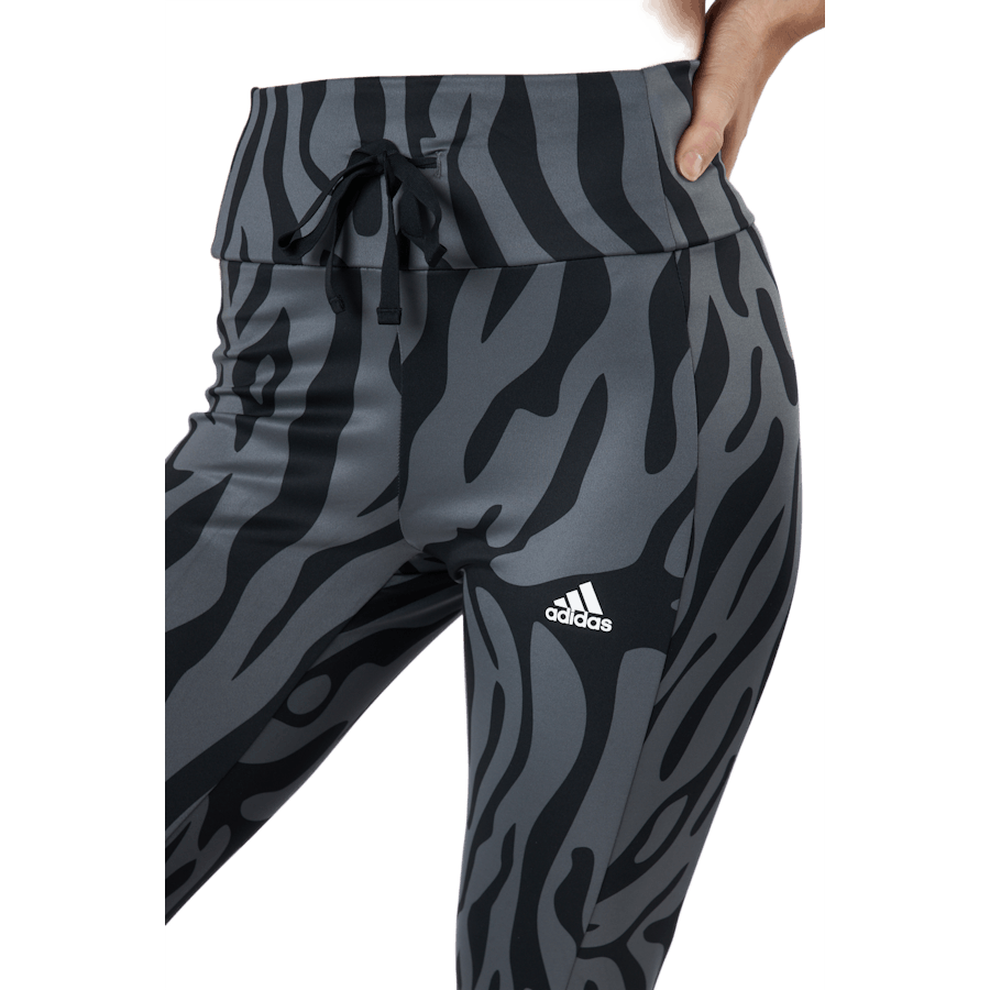 M4r Anml 78 Tig Grey Five