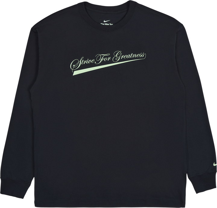 LeBron Lion Ls Max90 T-shirt