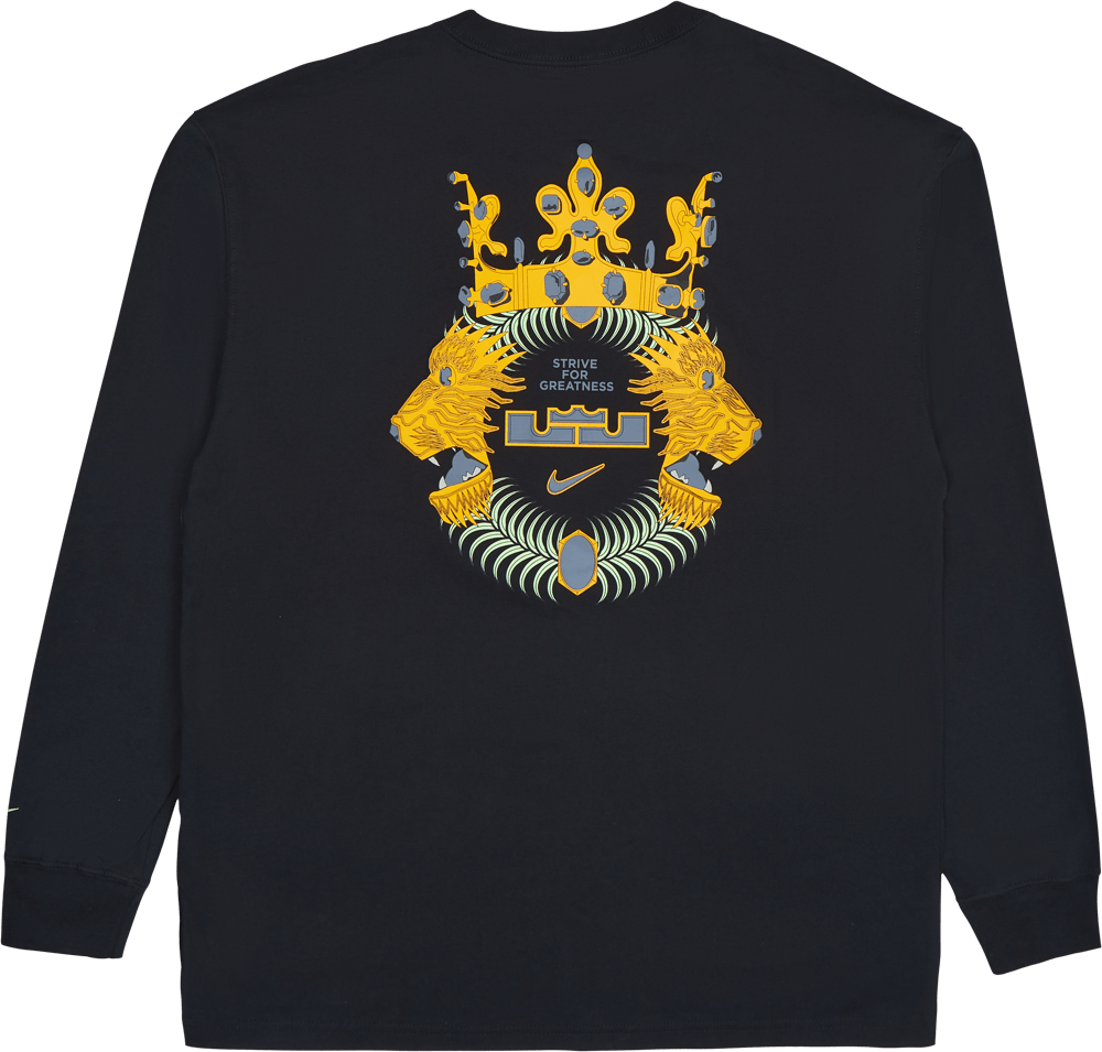 LeBron Lion Ls Max90 T-shirt