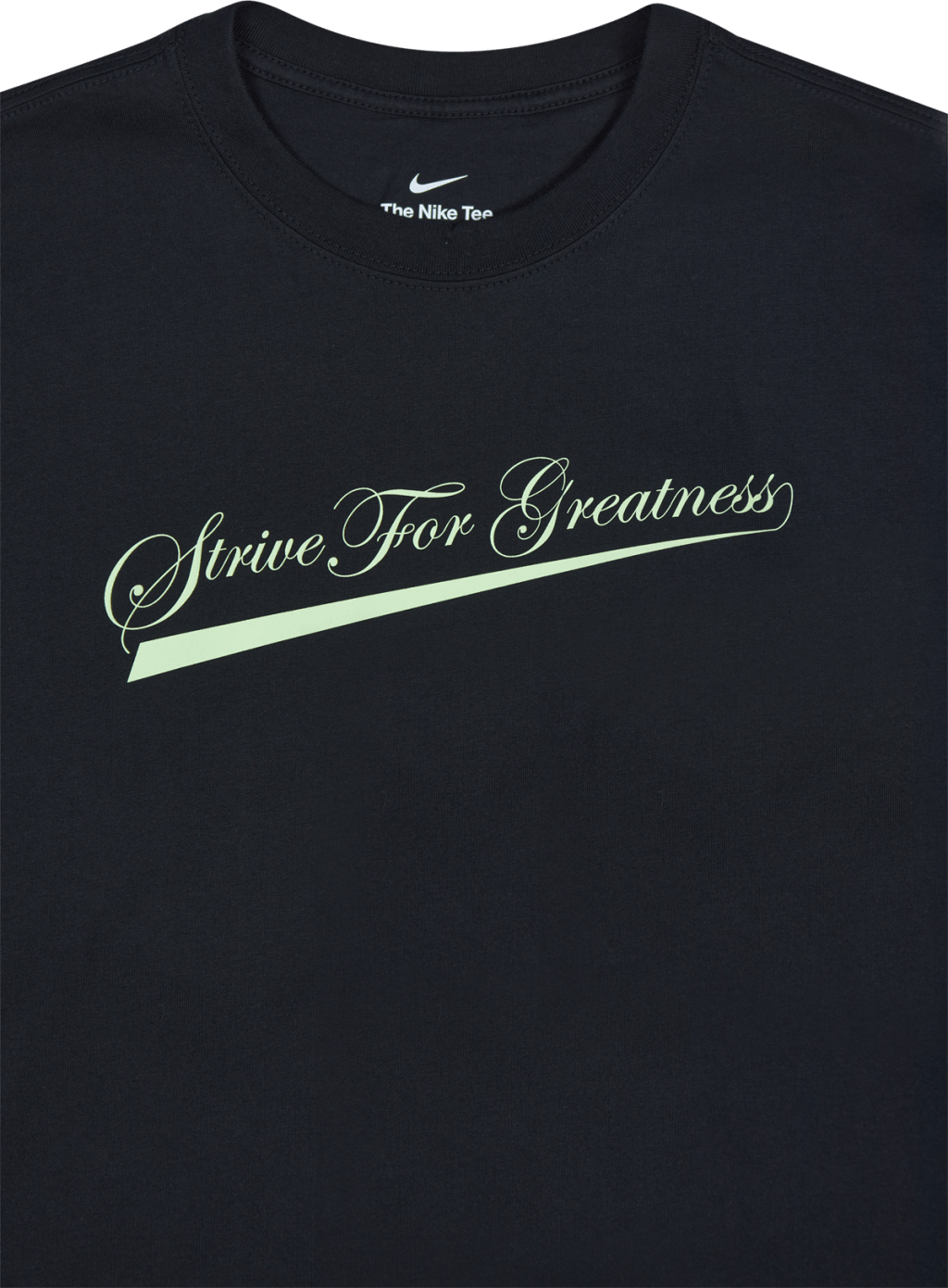 LeBron Lion Ls Max90 T-shirt