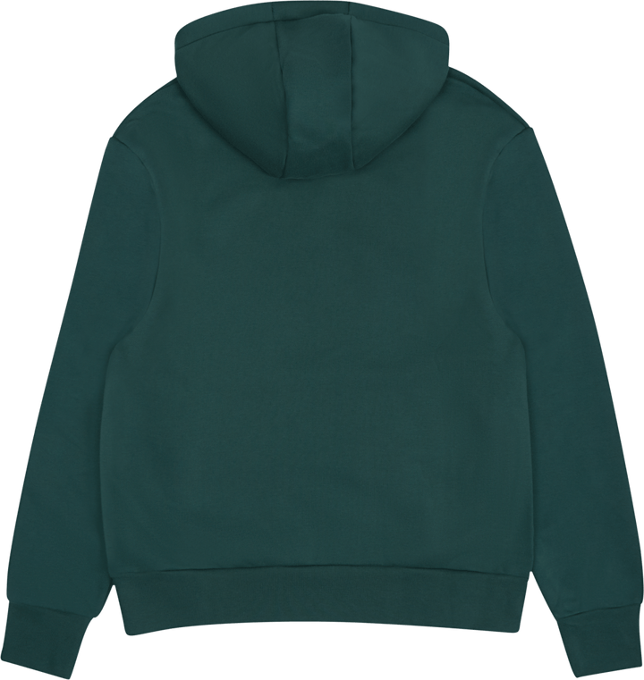 JORDAN X PSG STMT FLEECE HOODIE