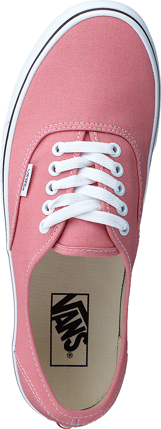 Ua Authentic Rosette/true White
