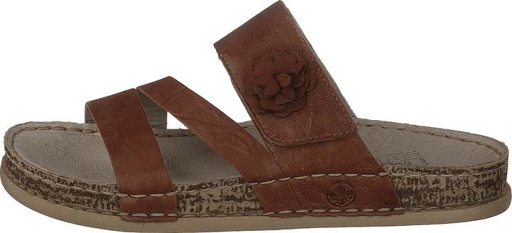 68251 Bruin