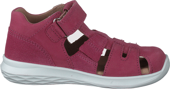 Bumblebee Pink