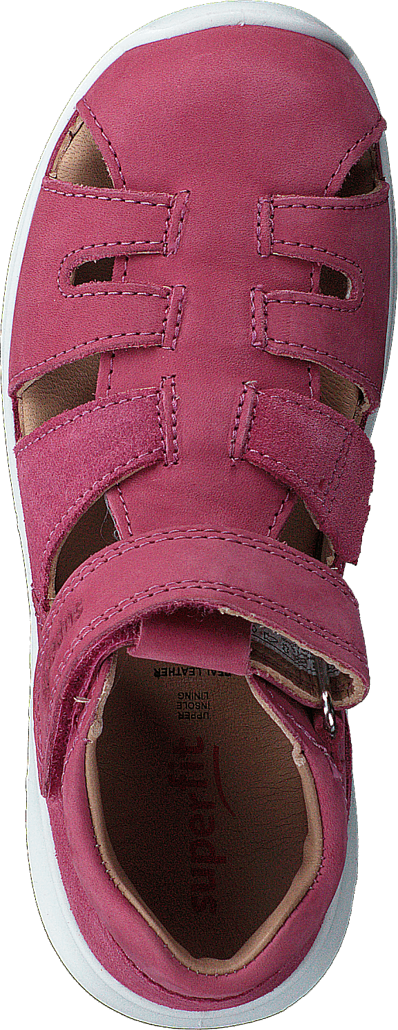 Bumblebee Pink