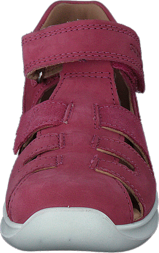 Bumblebee Pink
