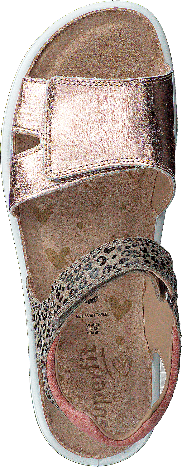 Sparkle Bronze