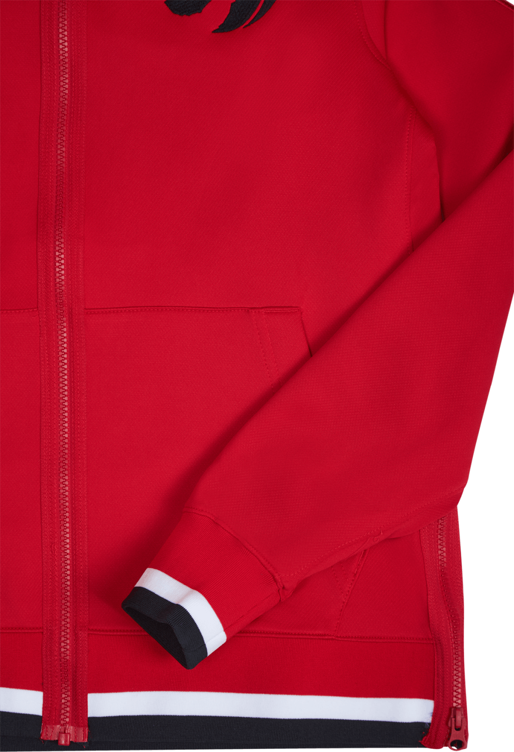 raptors showtime hoodie