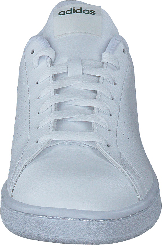 Advantage Molnvit / Molnvit / Collegiate Green