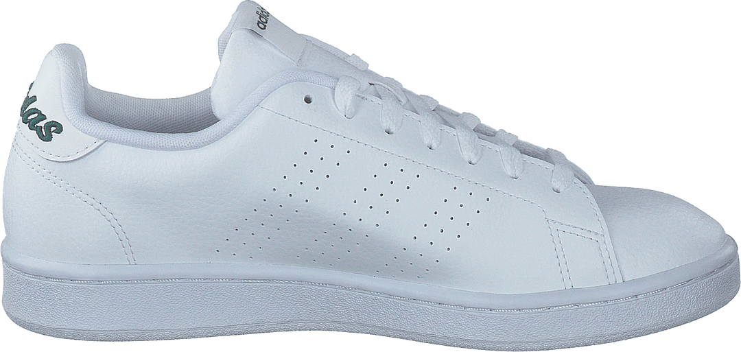 Advantage Molnvit / Molnvit / Collegiate Green