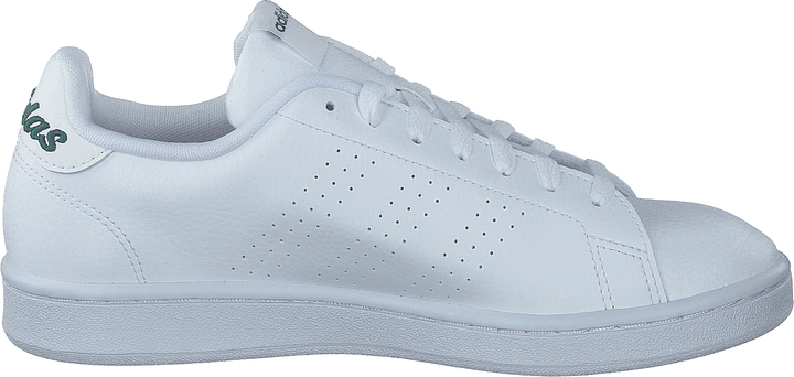 Advantage Molnvit / Molnvit / Collegiate Green