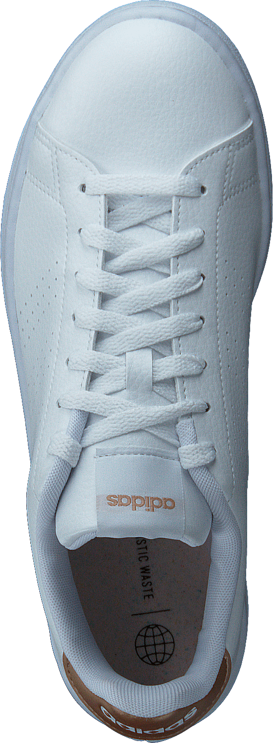 Advantage skor molnvit / molnvit / koppar metallic