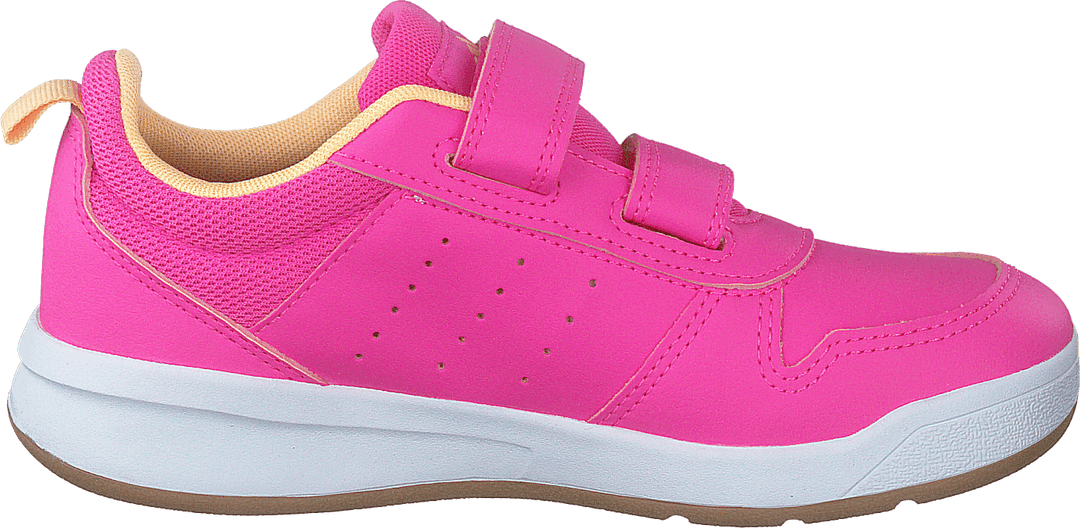 Tensaur C Scrpnk/aciora/gum3