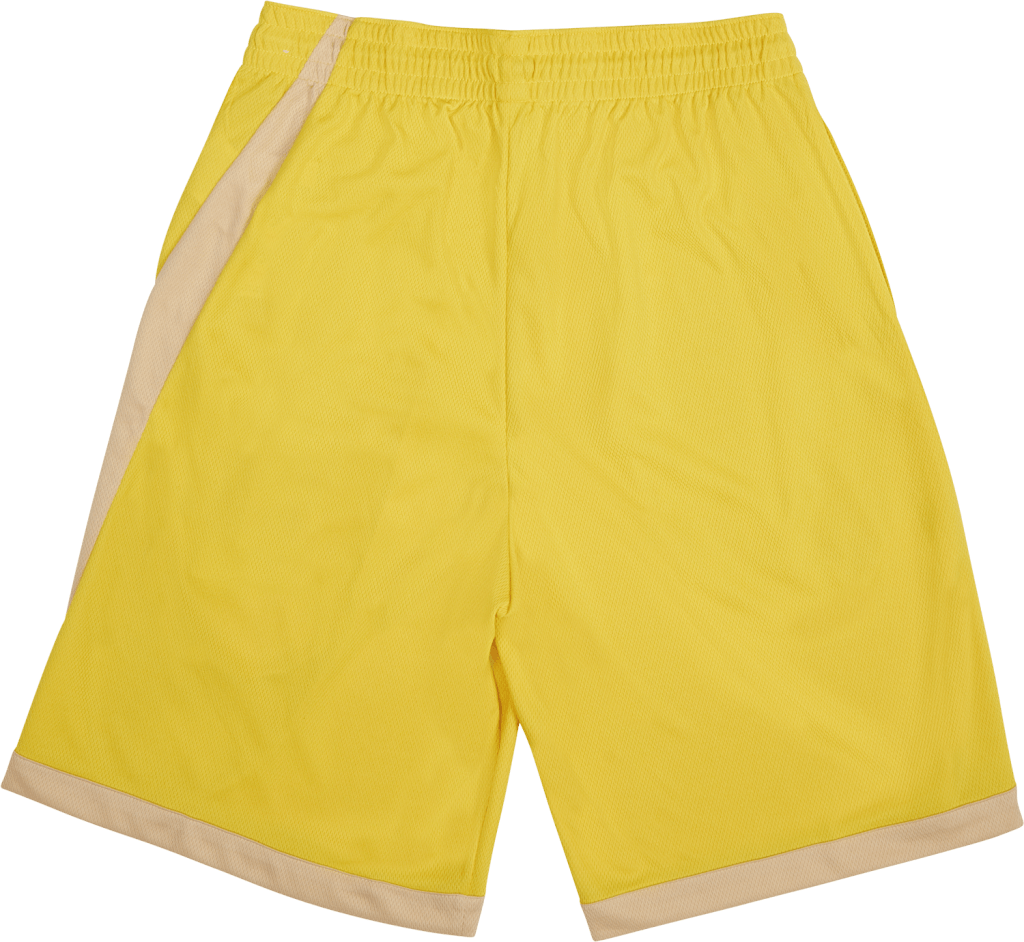 DRI-Fit 10in Short 3.0