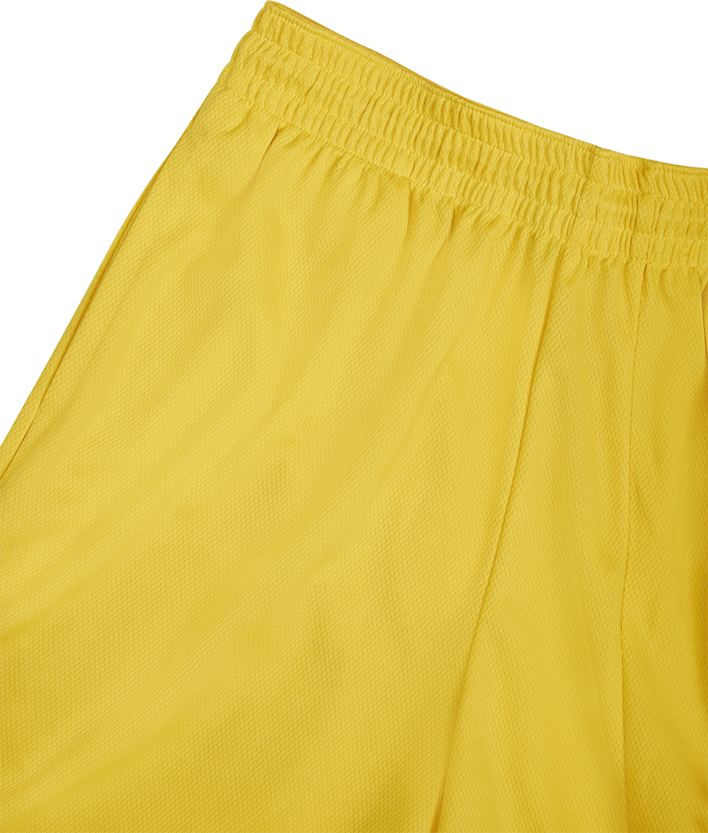 DRI-Fit 10in Short 3.0