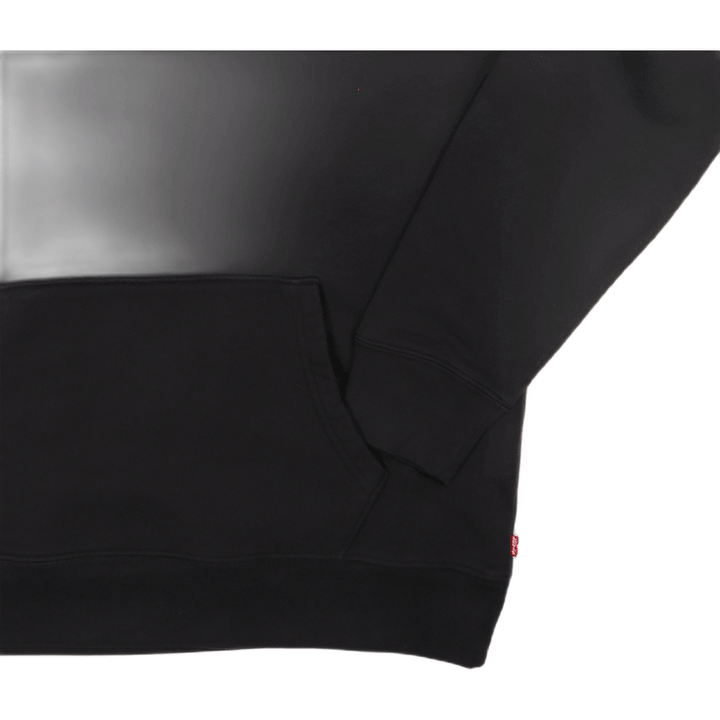 Standard Graphic Hoodie Co Hm Mineral Black