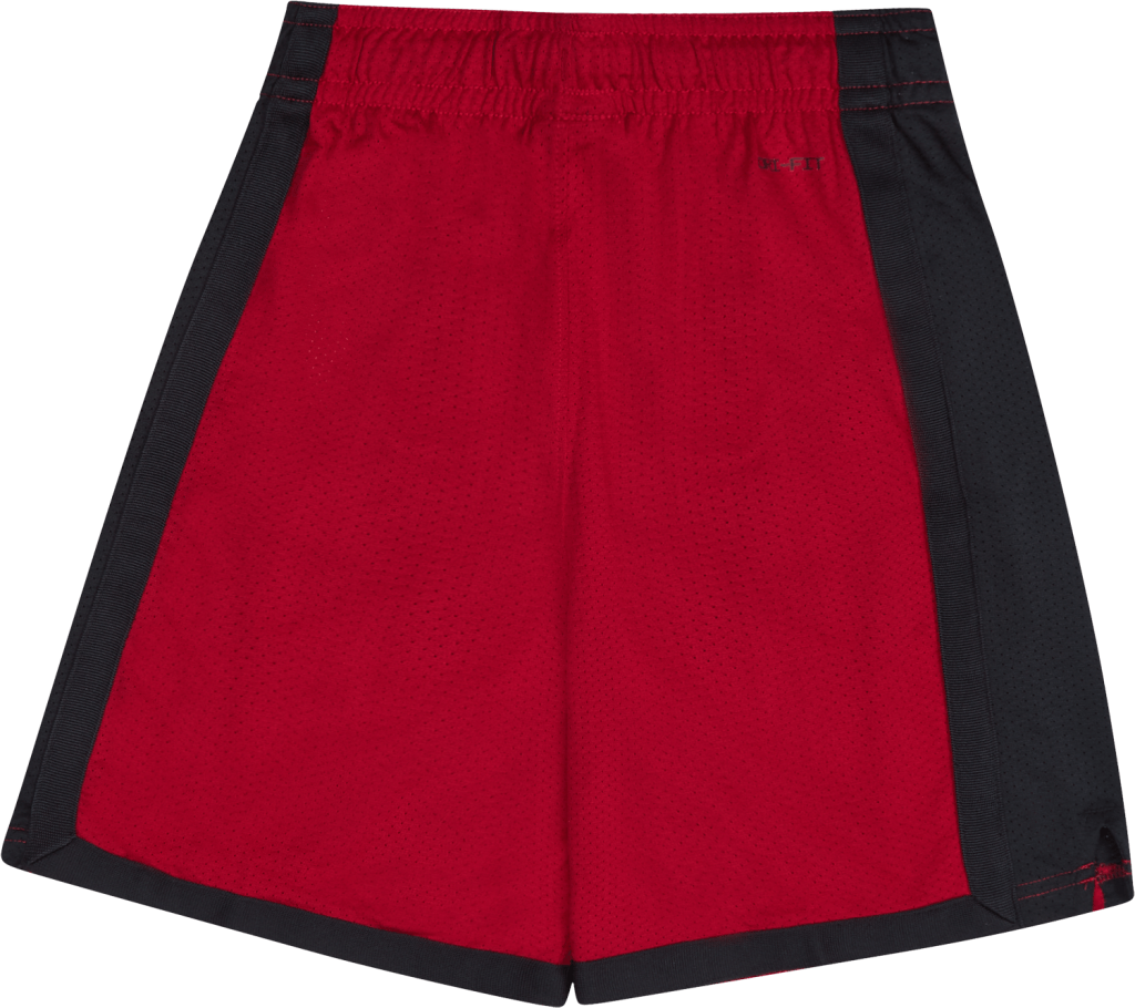 Air Jordan Mesh Short