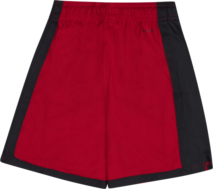 Air Jordan Mesh Short
