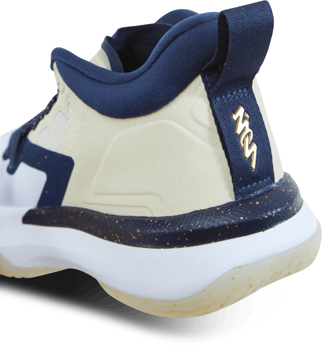 Jordan Zion 1 (GS)