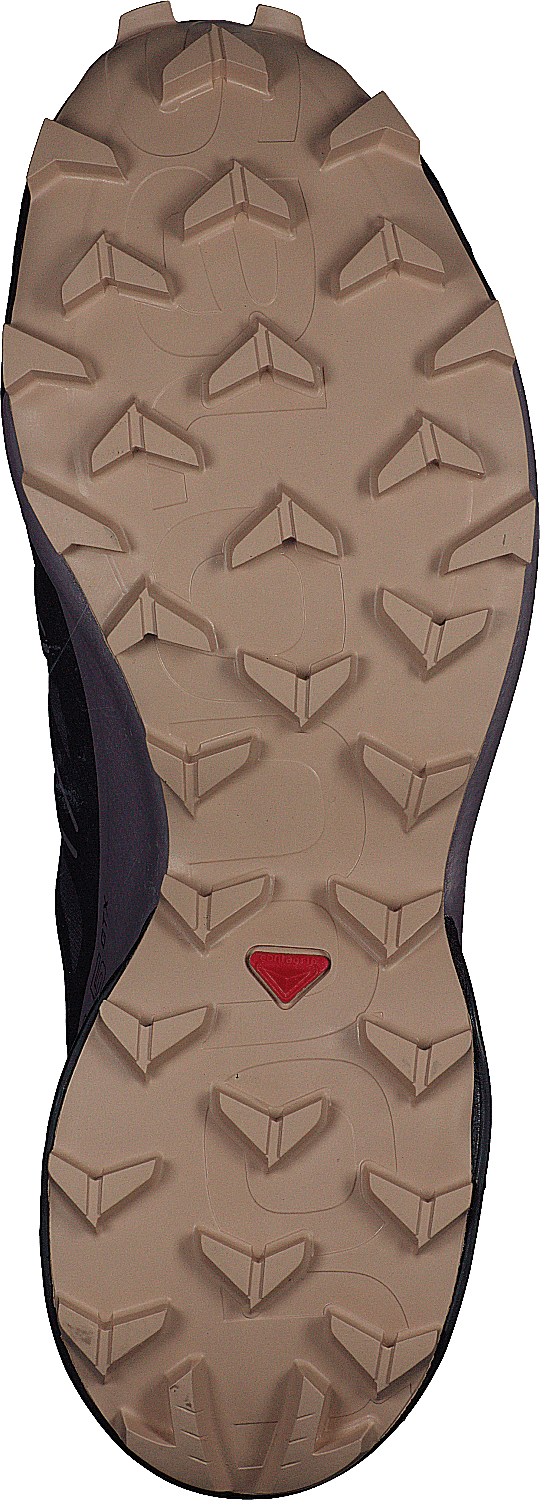 Speedcross 5 Gtx W Mysterioso/quail/sirocco