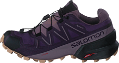 Speedcross 5 Gtx W Mysterioso/quail/sirocco