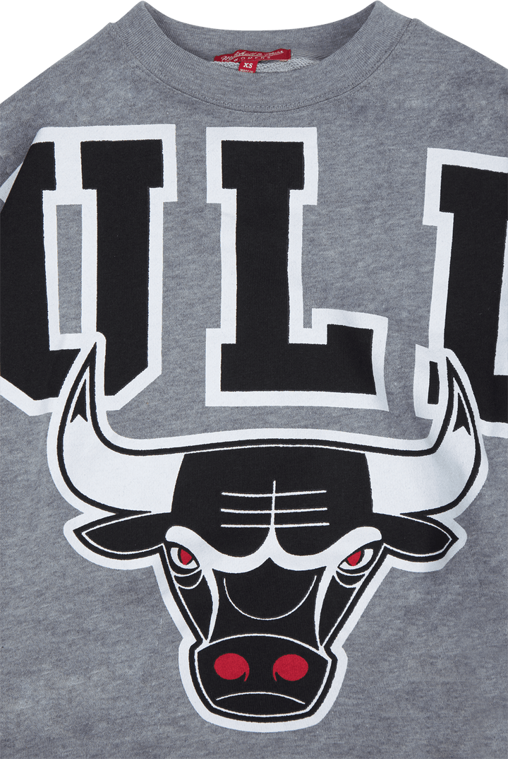 Women's Bulls Logo Fleece