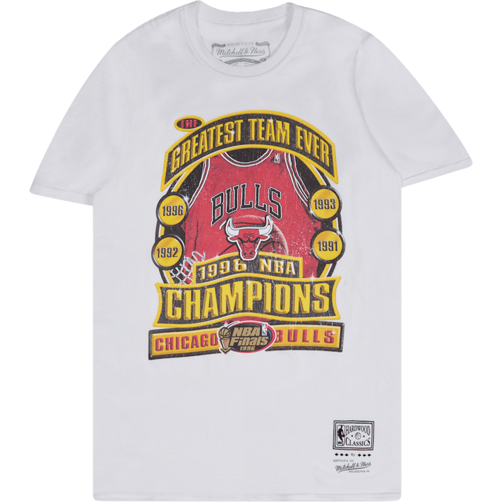 Bulls Last Dance Bulls '96