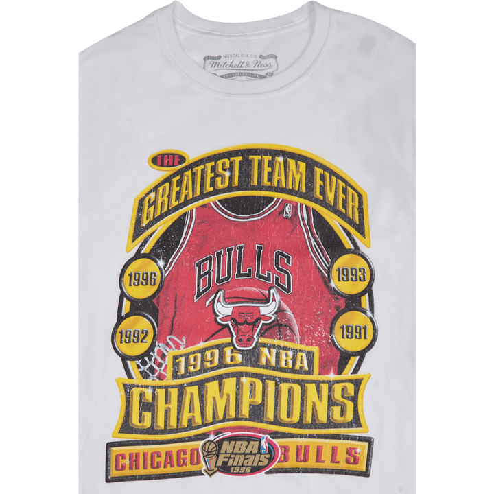 Bulls Last Dance Bulls '96