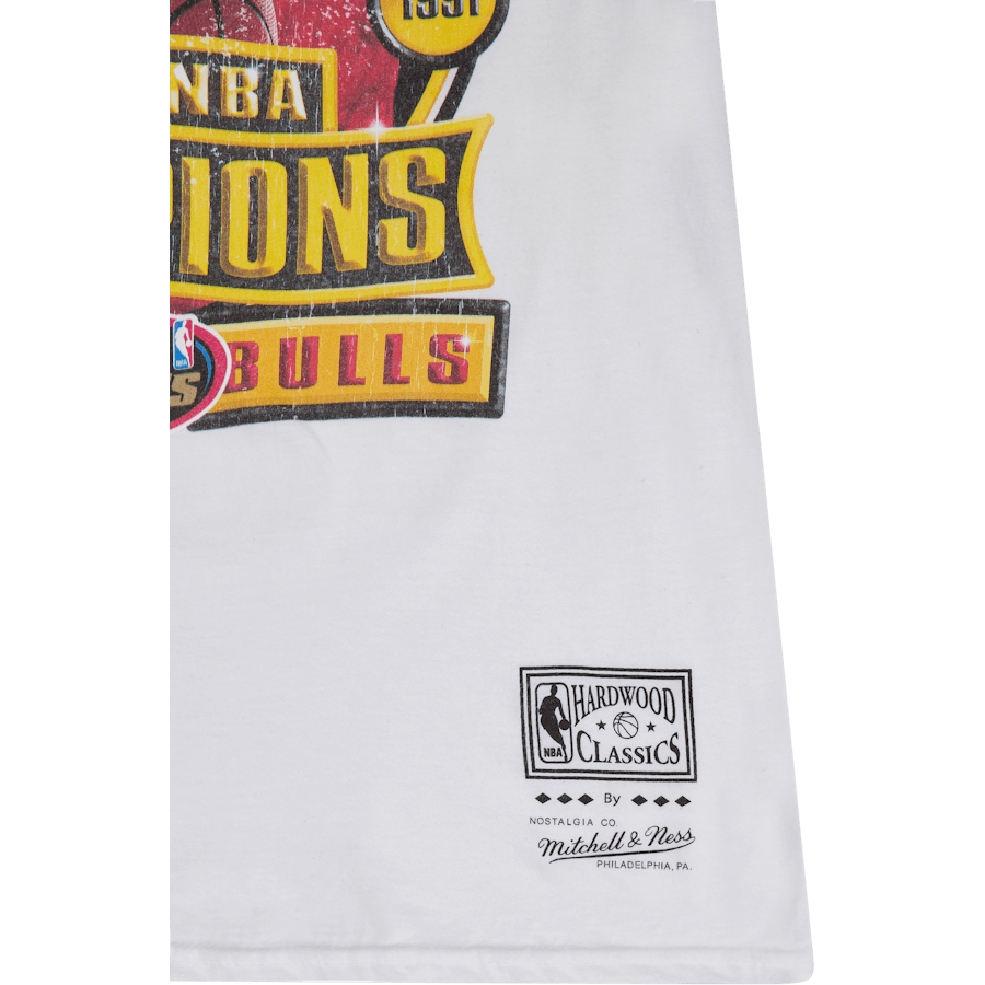 Bulls Last Dance Bulls '96