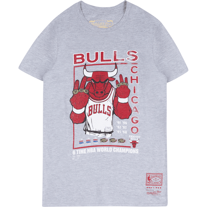 Bulls Last Dance Bulls 6x Champ