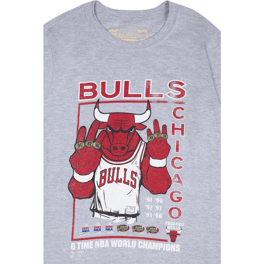 Bulls Last Dance Bulls 6x Champ