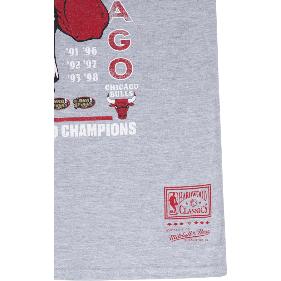 Bulls Last Dance Bulls 6x Champ