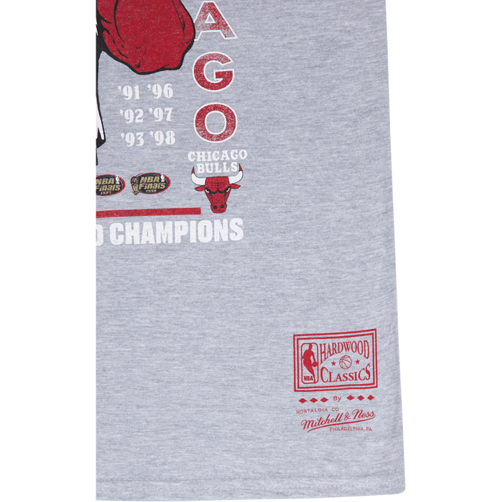 Bulls Last Dance Bulls 6x Champ