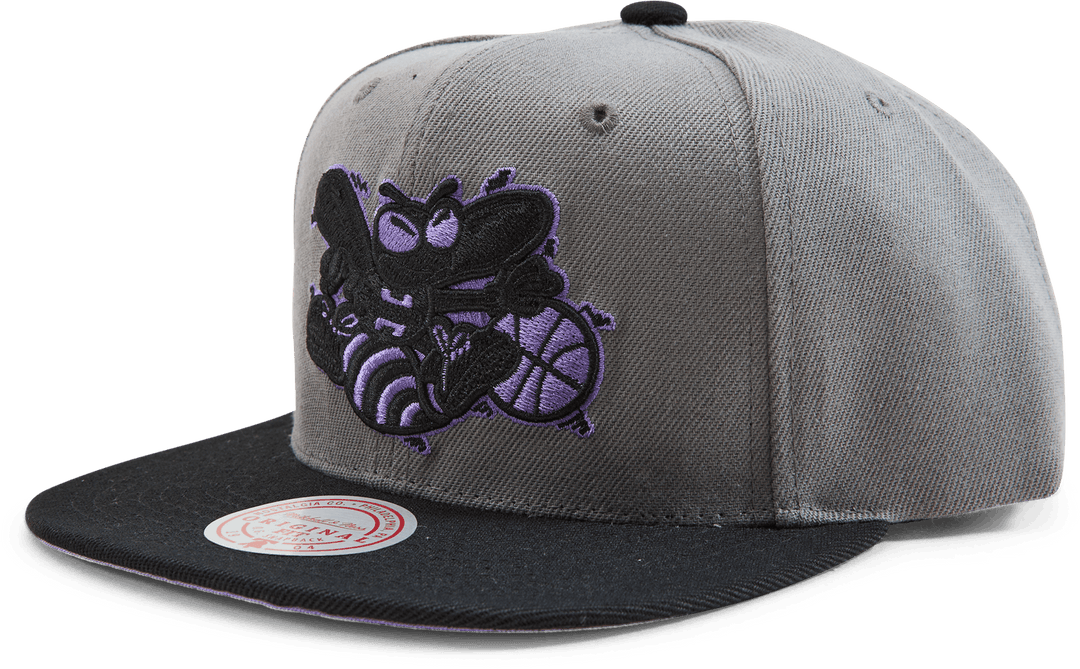 Hornets Neon Lights Snapback