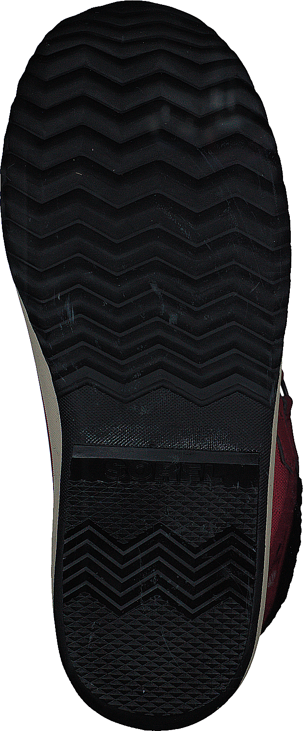 Winter Carnival Wp Rose Dust, Black