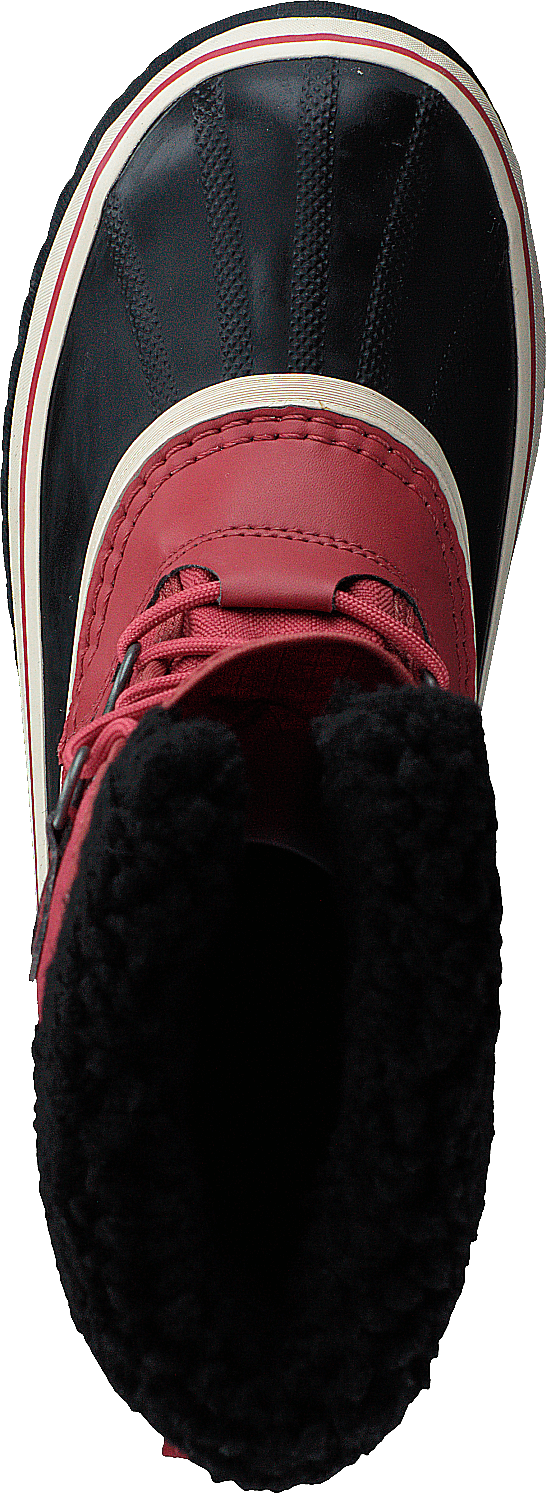Winter Carnival Wp Rose Dust, Black