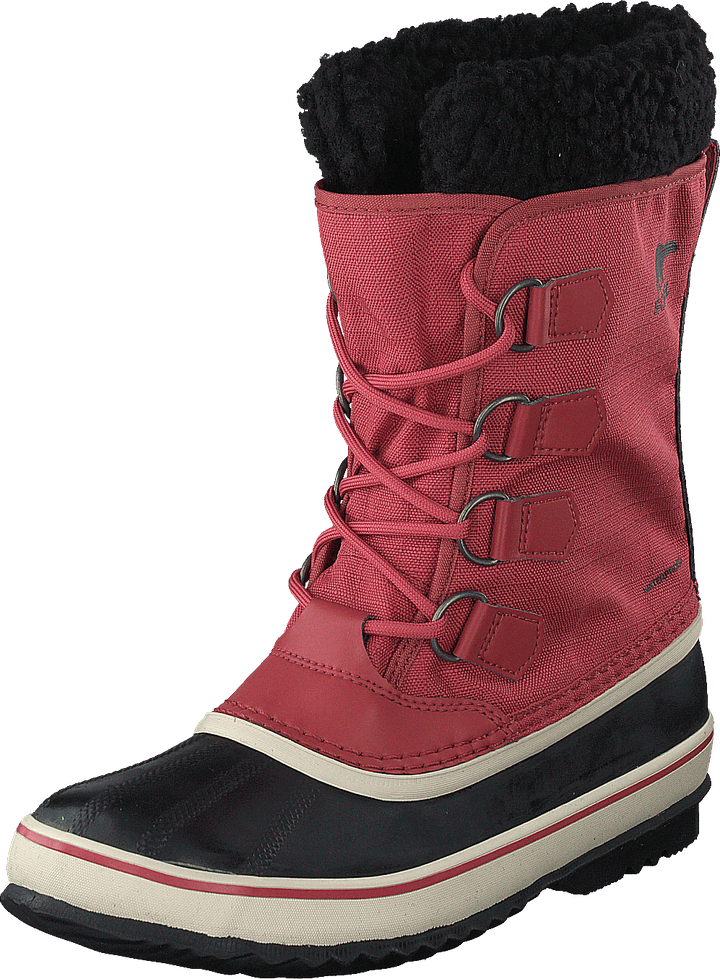 Winter Carnival Wp Rose Dust, Black