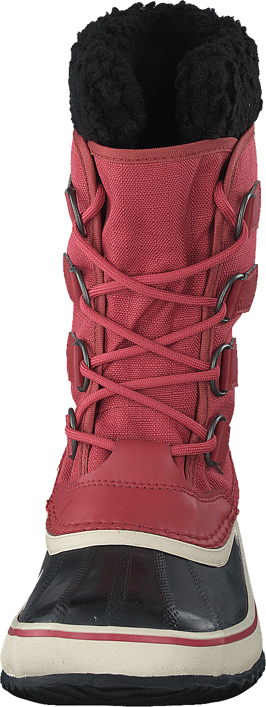 Winter Carnival Wp Rose Dust, Black