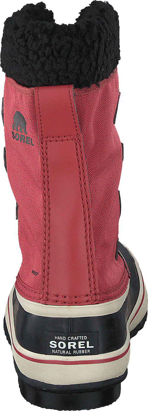 Winter Carnival Wp Rose Dust, Black