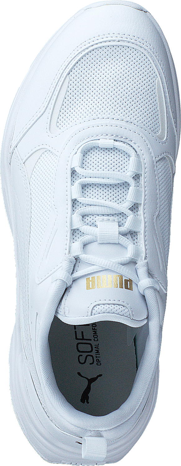 Cassia Puma White-puma White-puma Tea