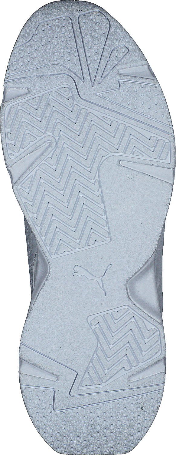 Cassia Puma White-puma White-puma Tea