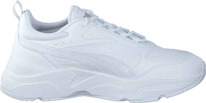 Cassia Puma White-puma White-puma Tea