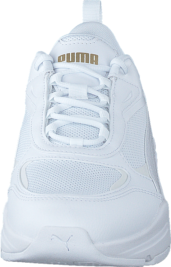 Cassia Puma White-puma White-puma Tea