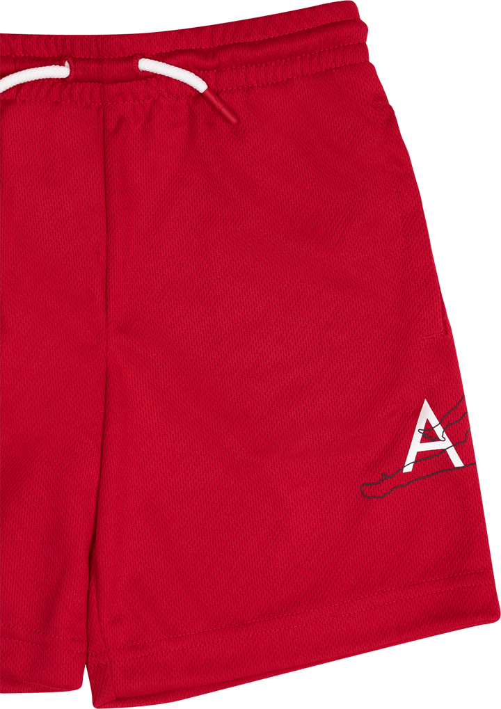 Jumpman Big Air Mesh Short för barn