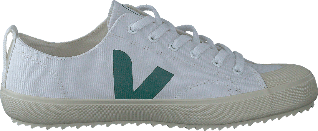 Nova White Brittany