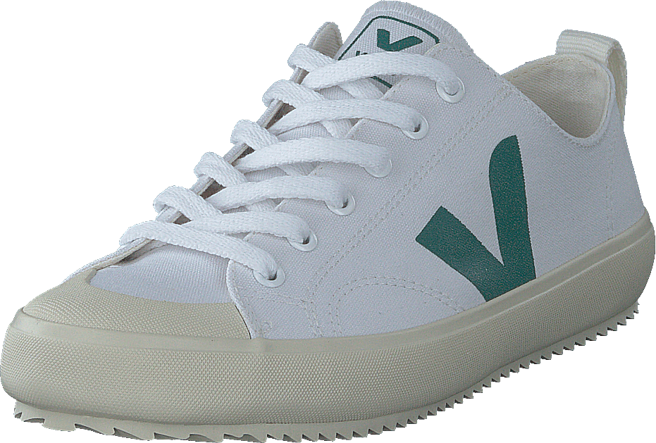Nova White Brittany