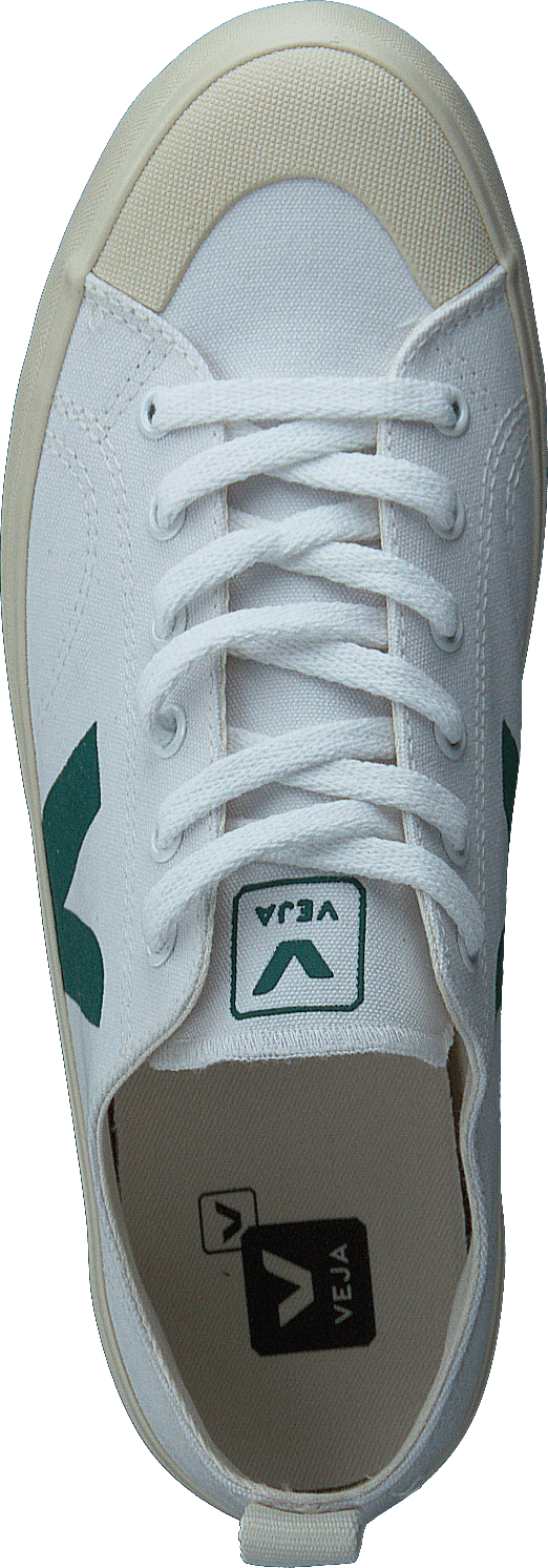 Nova White Brittany