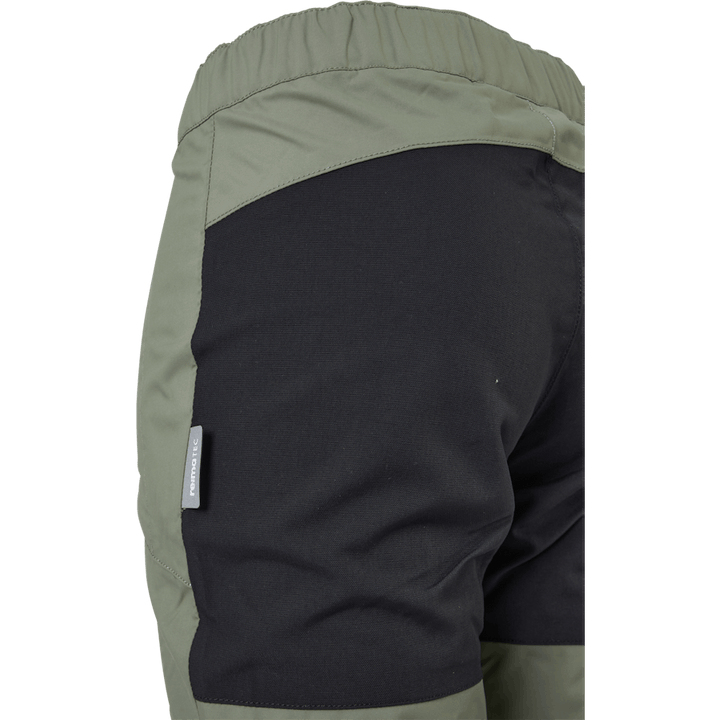 Lento Greyish green