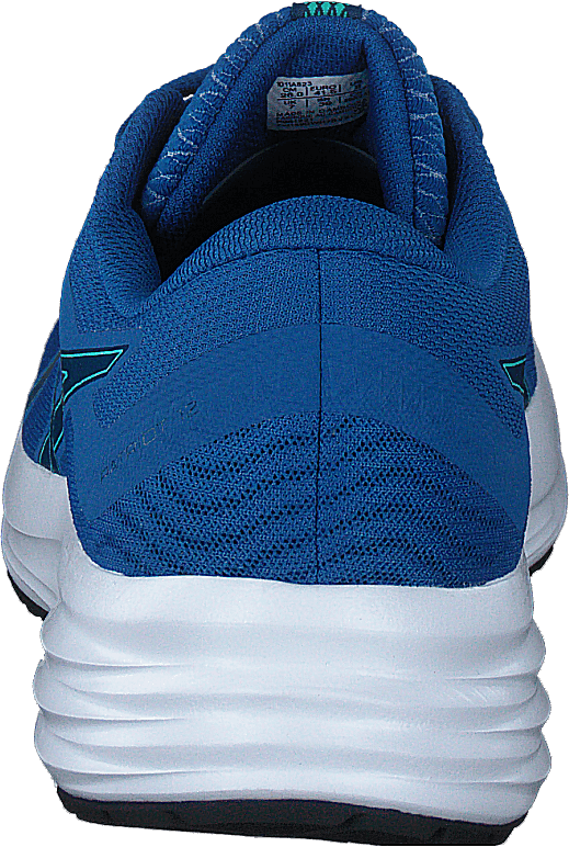 Patriot 12 Lake Drive/mako Blue